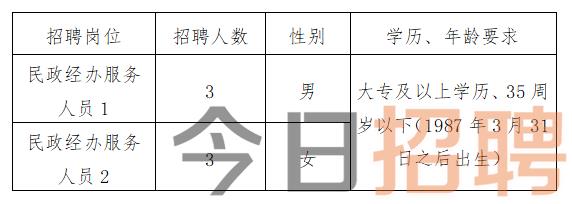 宣化区最新招聘信息全面解析